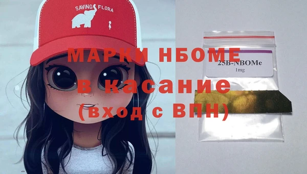 прущие грибы Елизово