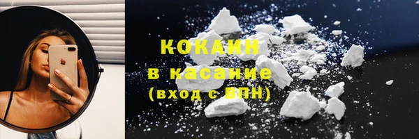 прущие грибы Елизово
