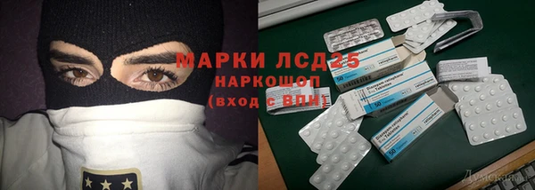 прущие грибы Елабуга