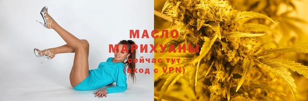прущие грибы Елабуга
