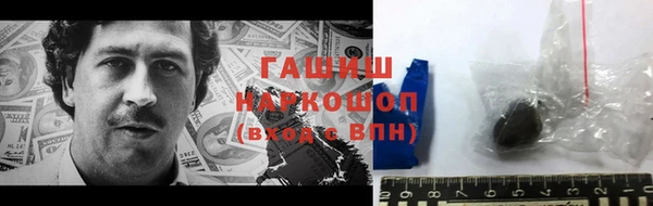 прущие грибы Елизово