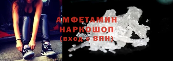 прущие грибы Елабуга