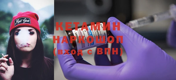 прущие грибы Елизово