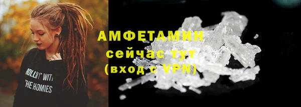 прущие грибы Елабуга