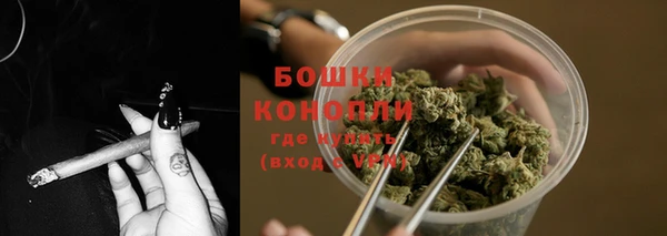 прущие грибы Елабуга