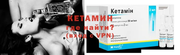 прущие грибы Дмитриев