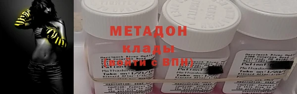 прущие грибы Елабуга