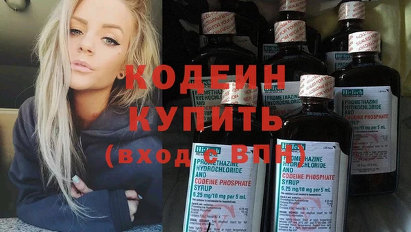 прущие грибы Елизово