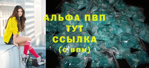 spice Ельня