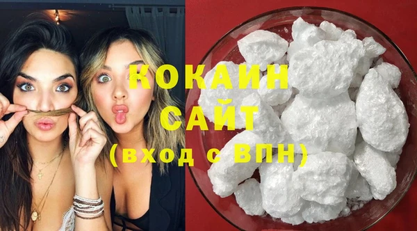 прущие грибы Елизово