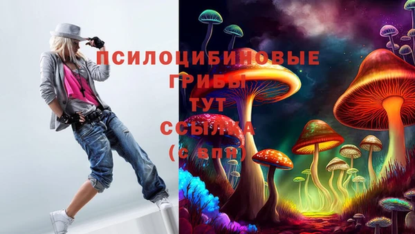 spice Ельня