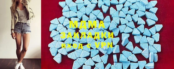 прущие грибы Елабуга
