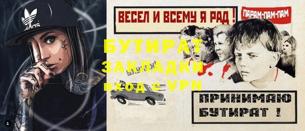 прущие грибы Елабуга