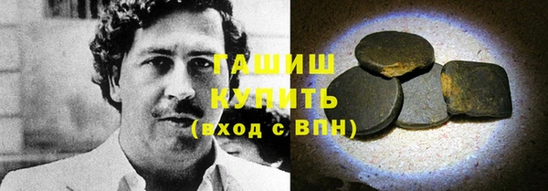 прущие грибы Елабуга