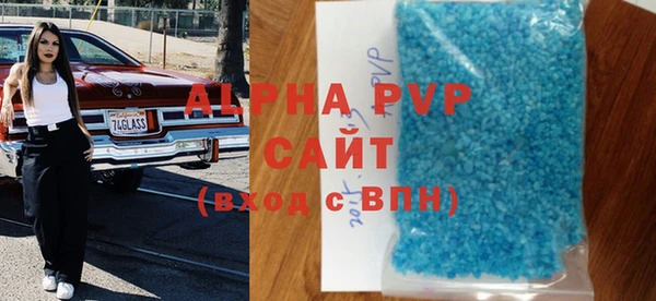прущие грибы Елабуга