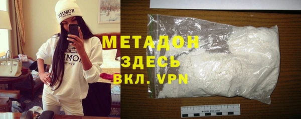 прущие грибы Елизово