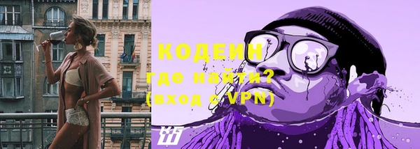 прущие грибы Елизово