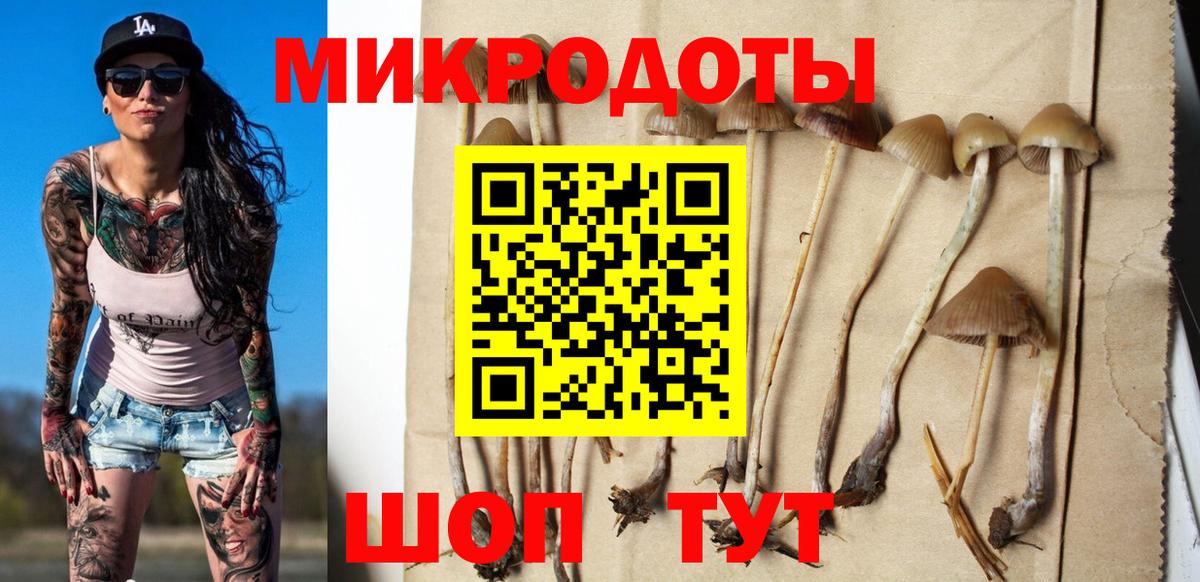Псилоцибиновые грибы ЛСД  купить наркотик  Протвино  Вход с VPN 