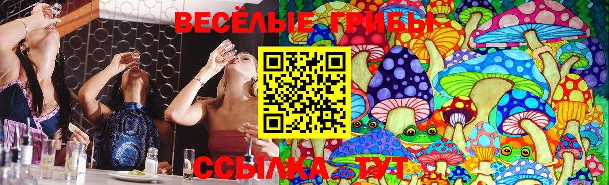 Галлюциногенные грибы Cubensis Протвино