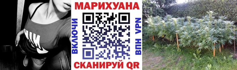 продажа наркотиков  hydra зеркало  Конопля LSD WEED  Протвино 